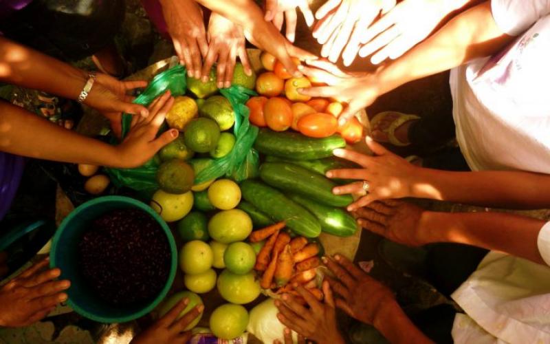 Secretaría de Seguridad Alimentaria y Nutricional 