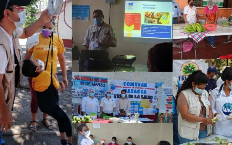 Secretaría de Seguridad Alimentaria y Nutricional 