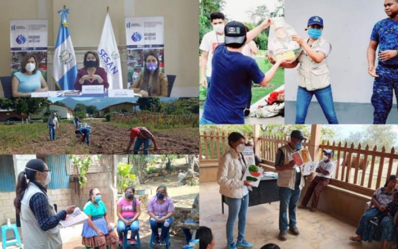 Secretaría de Seguridad Alimentaria y Nutricional 