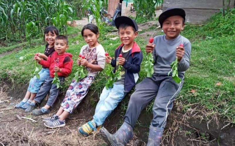 Secretaría de Seguridad Alimentaria y Nutricional 
