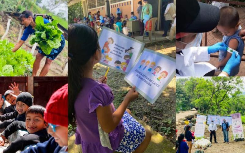 Secretaría de Seguridad Alimentaria y Nutricional 