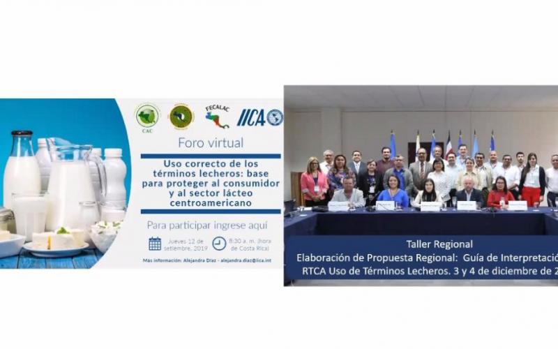 Taller regional para la elaboración de la guía de términos lecheros para Centroamérica