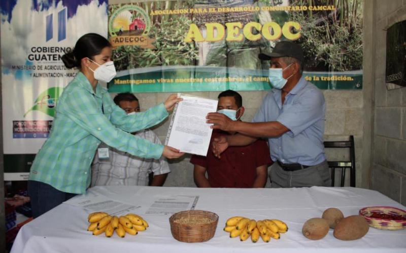 Asociaciones comunitarias impulsan el desarrollo agrícola en Alta Verapaz .