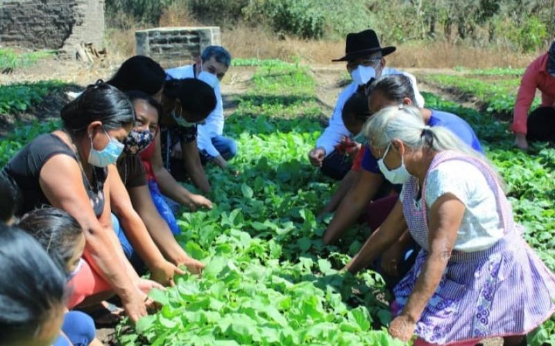 Supervisan entrega de alimentos y huertos familiares en Jalapa
