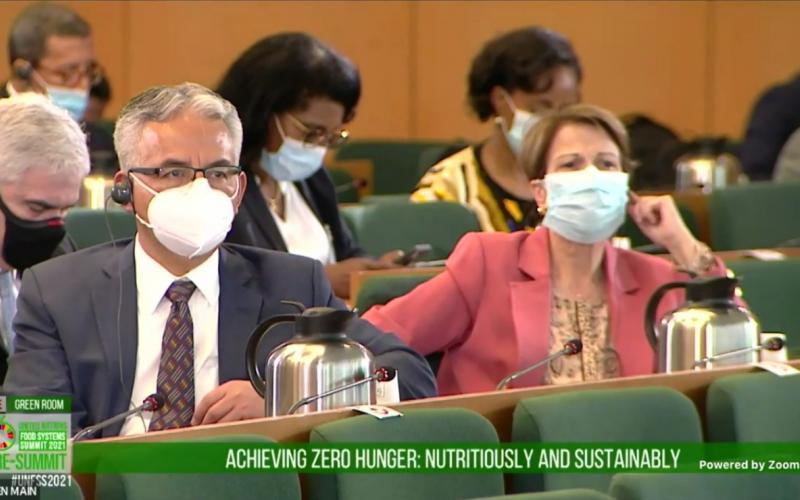 Ministro MAGA Precumbre sistemas alimentarios