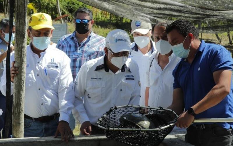 Peteneros reciben apoyo en agricultura familiar y comercialización