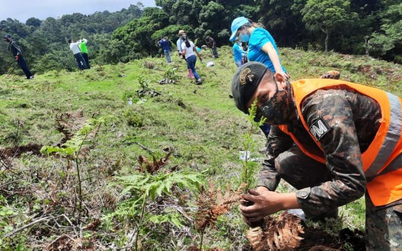 Soldado reforesta área.