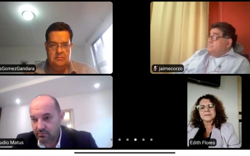 La Viceminsitra de Integración y Comercio Exterior, Edith de Molina, durante su participación en la reunión virtual con representantes de CAMEX.