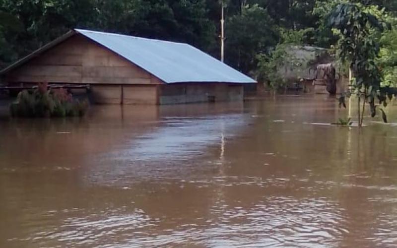 Viviendas afectadas por lluvias en Livingston, Izabal.