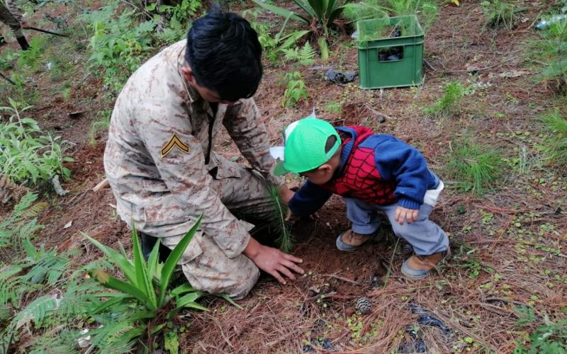 Reservista Militar reforestando.