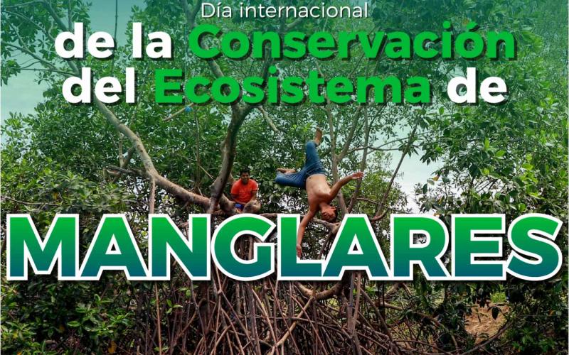 hombre saltando al manglar