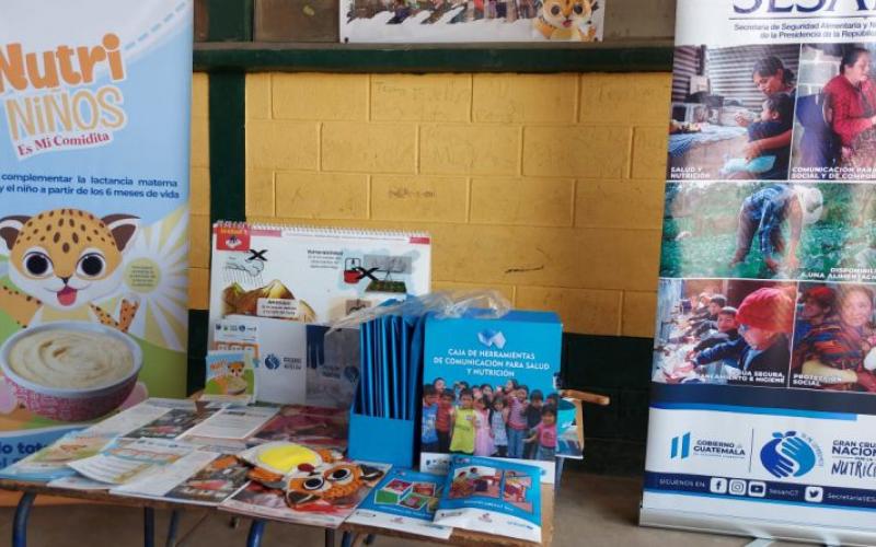 Alimento complementario fortificado