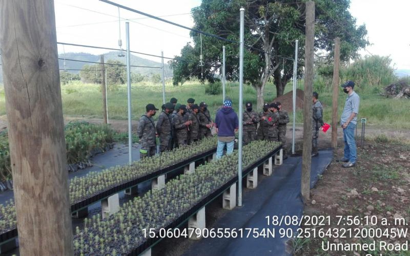 Capacitación de viveros forestales