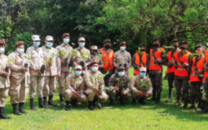 Ejército de Guatemala apoya jornada de reforestación en Suchitepéquez