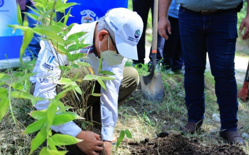 El MAGA invierte en la competitividad e industrialización del bambú