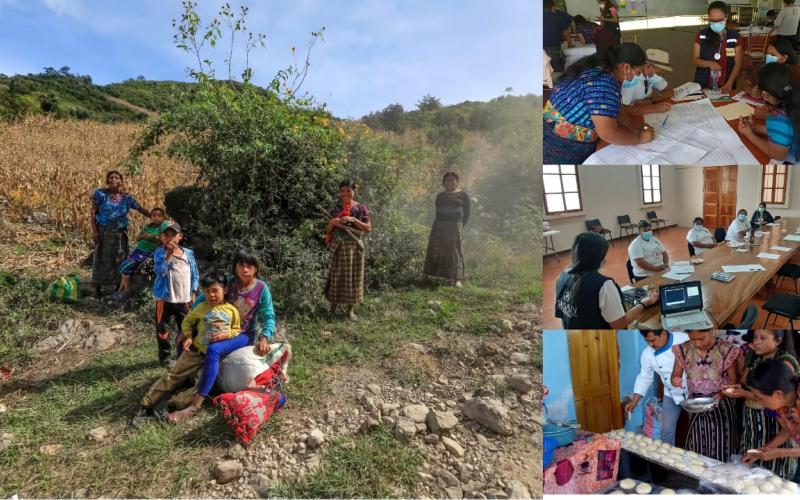 Secretaría de Seguridad Alimentaria y Nutricional