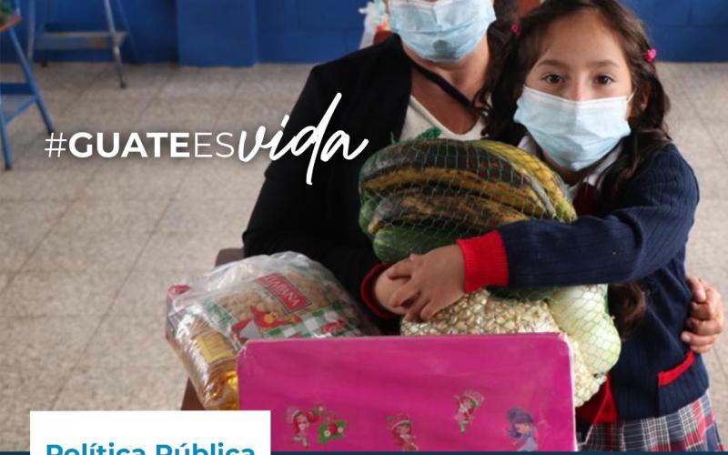 Política Pública Protección a la Vida y la Institucionalidad de la Familia