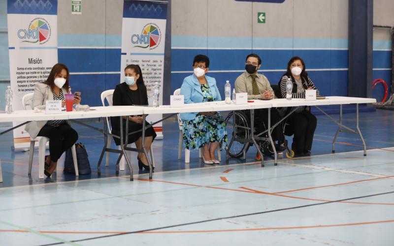 Presentación del proyecto Vida Independiente. 