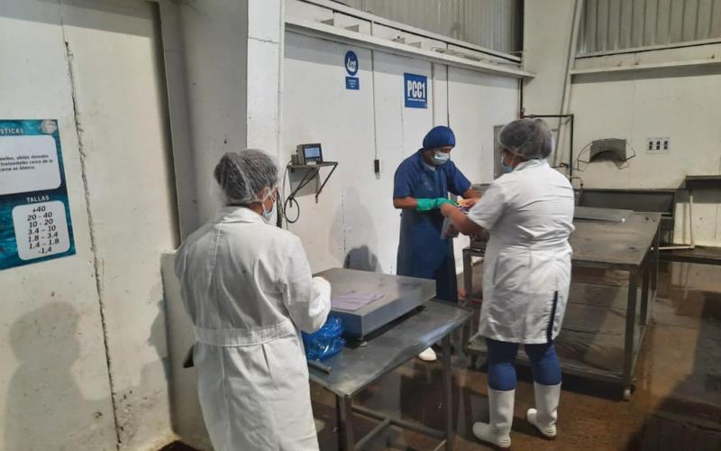 MAGA realiza inspección a empresa atunera 