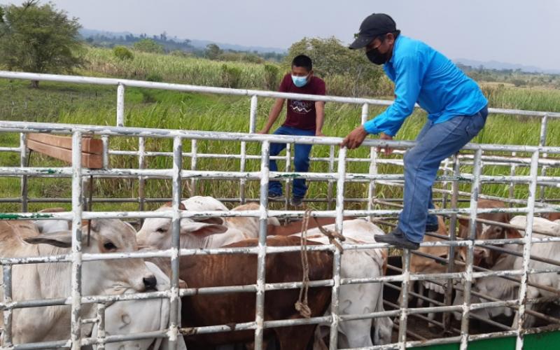 E.C.A. reinvierte fondos del Capital de Trabajo