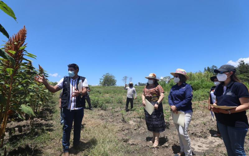 Secretaría de Seguridad Alimentaria y Nutricional 