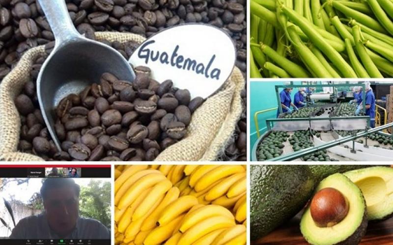 Misión comercial en Canadá