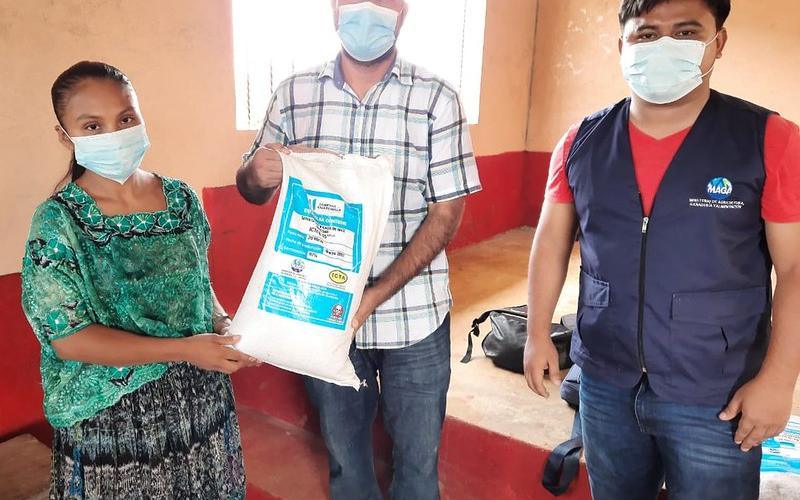 Familias beneficiadas con semillas de maíz