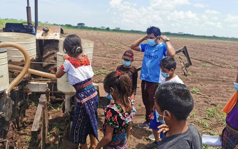 Niños y niñas participan en proceso de aprendizaje