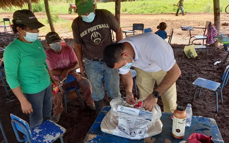 Comunidad Brisas del Mar ha iniciado la siembra de Ajonjolí