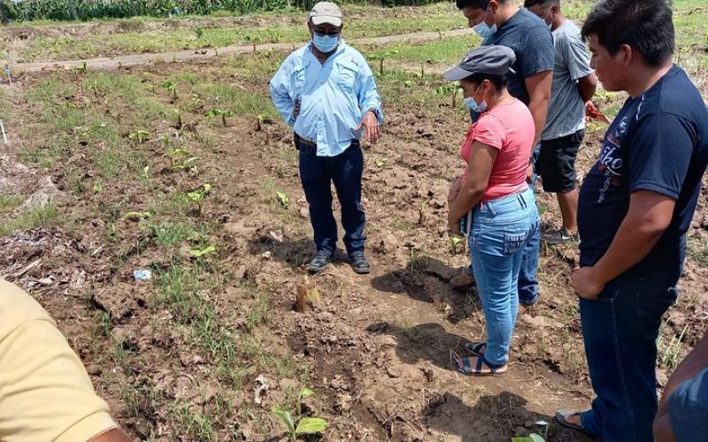 Comunidades Campesinas Intercambian Experiencias