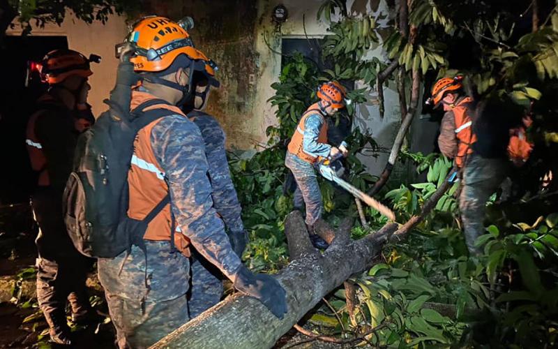 Caída de árbol sobre una vivienda ubicada en la colonia El Paraíso, Mazatenango, Suchitepéquez.