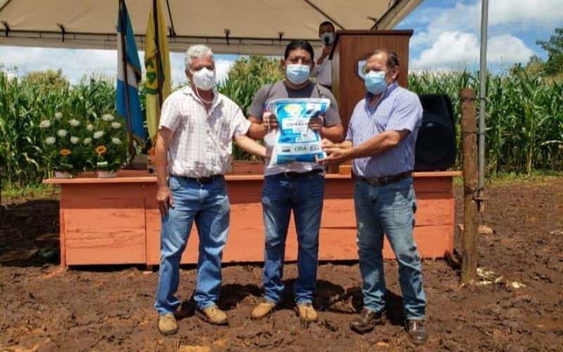Productores de la Costa Sur reciben semilla de maíz ICTA Grano de Oro