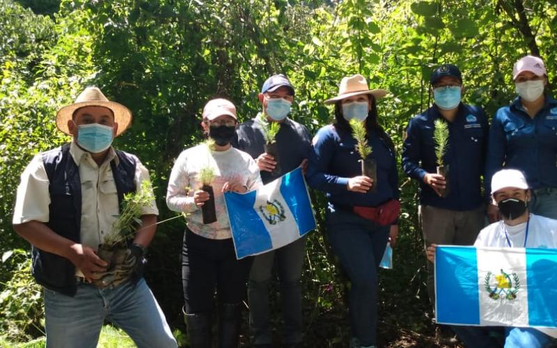 jornadas de reforestación se desarrollan en todo el país