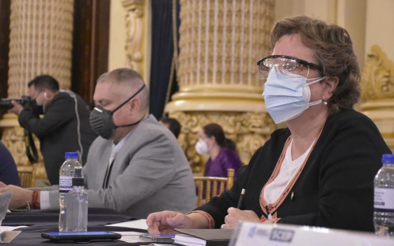 Secretaria Presidencial de la Mujer, Ana Leticia Aguilar Theissen 