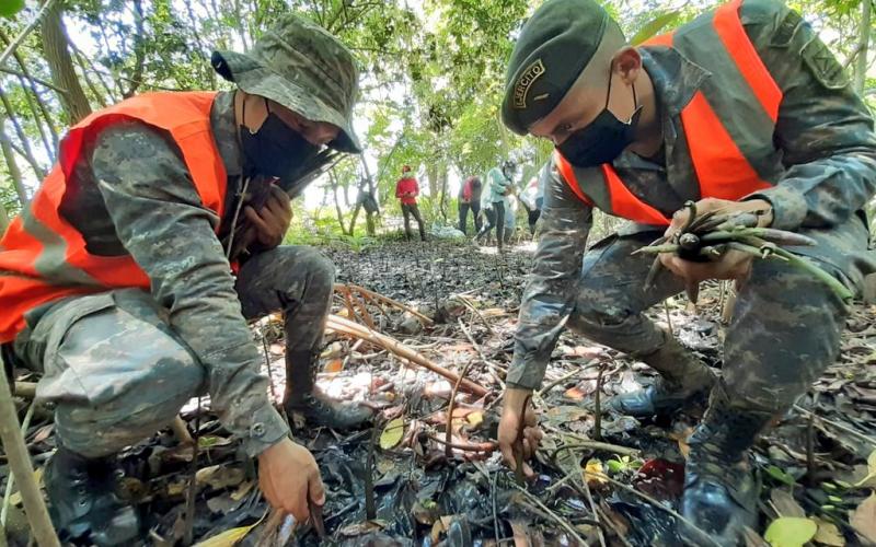 Soldados  y estudiantes universitarios reforestan en los departamentos de Suchitepéquez y Jutiapa