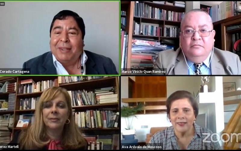 Diplomado Minex y Usac