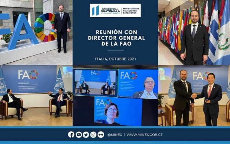 Pedro Brolo Vila, reunión con la FAO