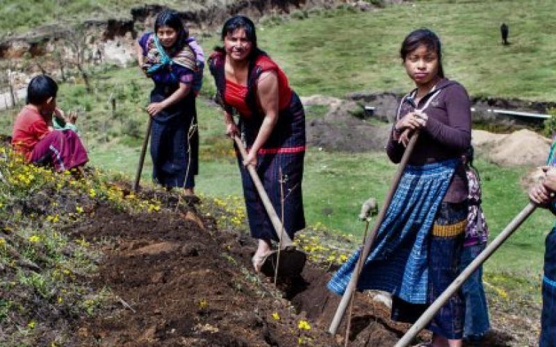 Secretaría de Seguridad Alimentaria y Nutricional 