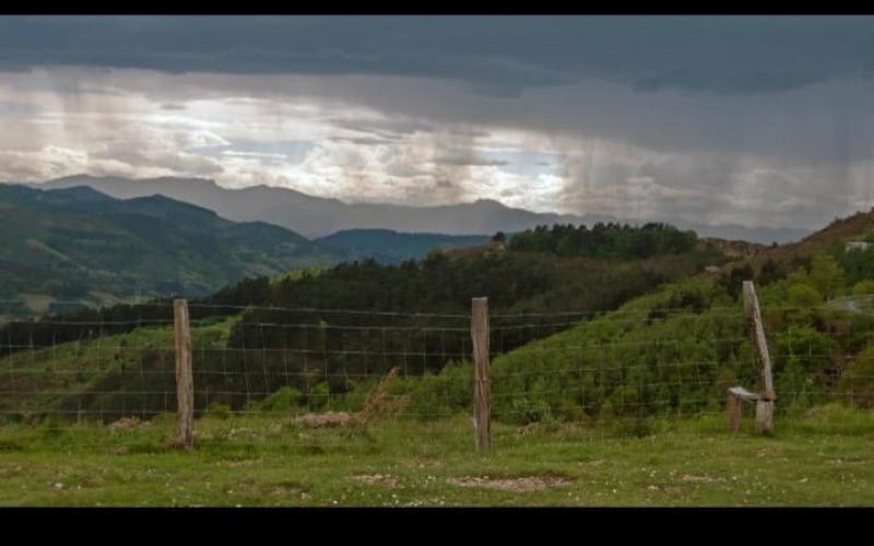 MAGA emite recomendaciones por ingreso de frentes fríos