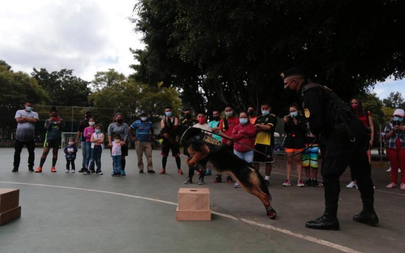 Aplausos y sonrisas en demostración K-9
