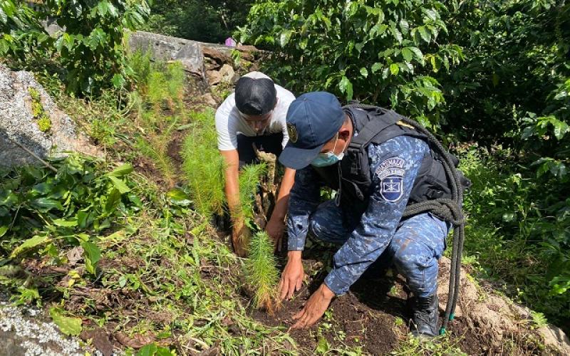 Ejército de Guatemala apoya reforestación en San Pedro la Laguna, Sololá