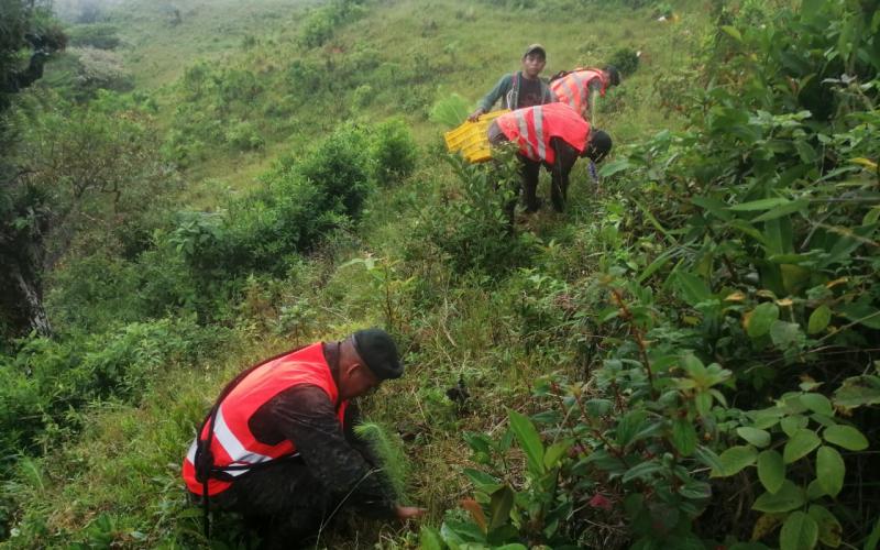 Ejército de Guatemala apoya reforestación de reserva “Trifinio Fraternidad”