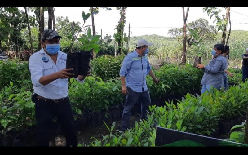 MAGA impulsa el desarrollo en la costa sur