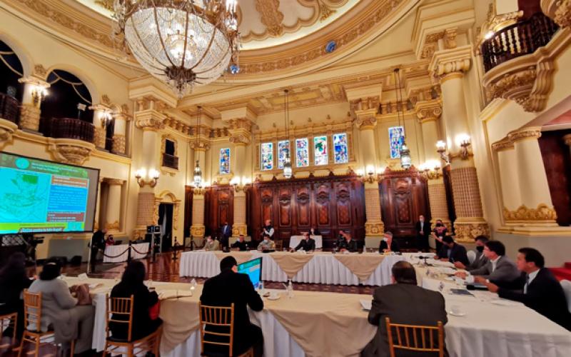 Mesa para la prevención y reducción de la tala ilegal en Guatemala