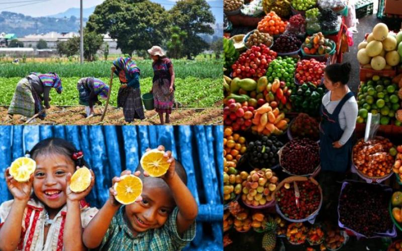 Secretaría de Seguridad Alimentaria y Nutricional 