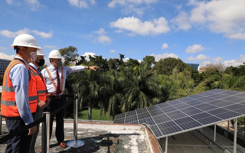 Paneles solares en el Minex