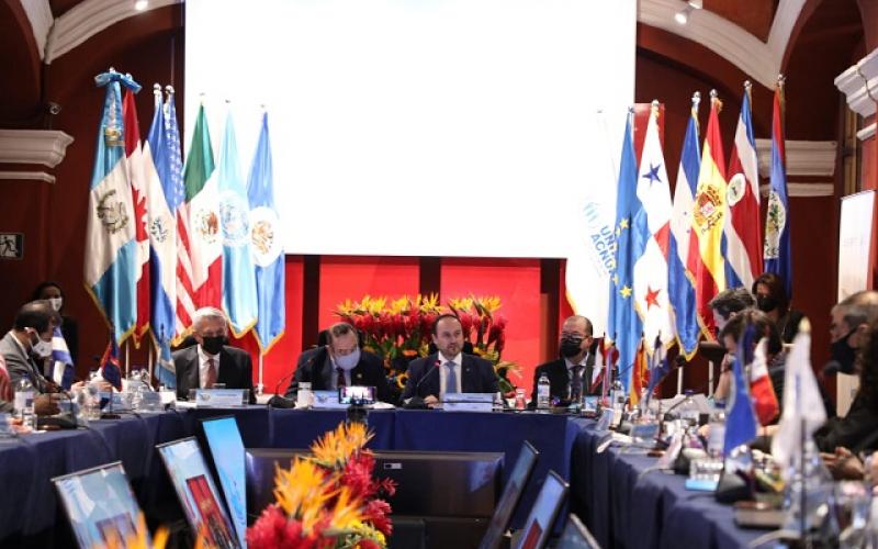 IV Reunión Anual del MIRPS
