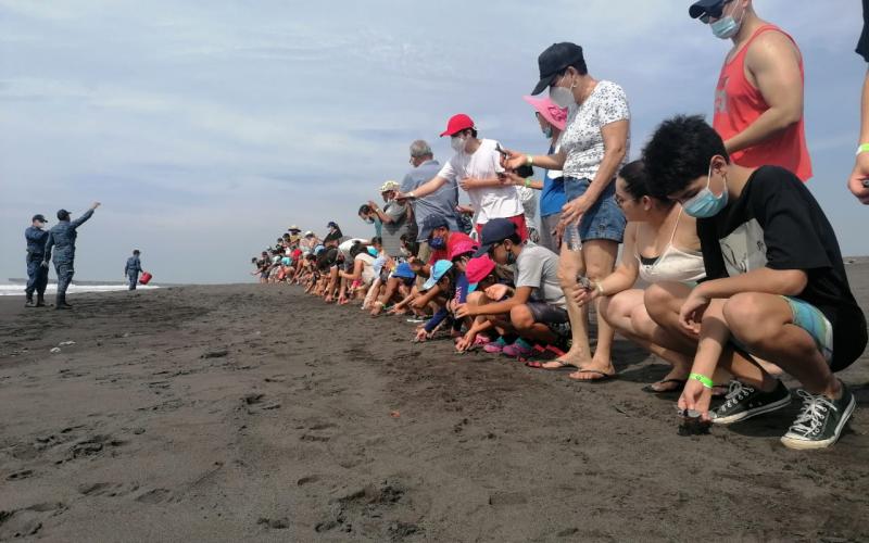 Liberación de tortugas marinas en el Comando Naval del Pacífico.
