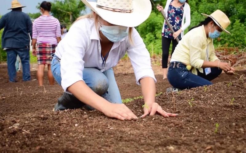 MAGA aporta asistencia técnica para la elaboración de huertos familiares