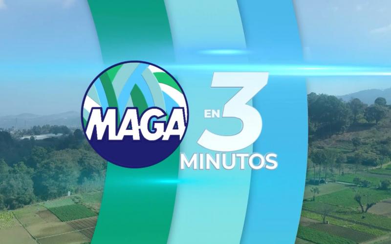 MAGA en 3 Minutos